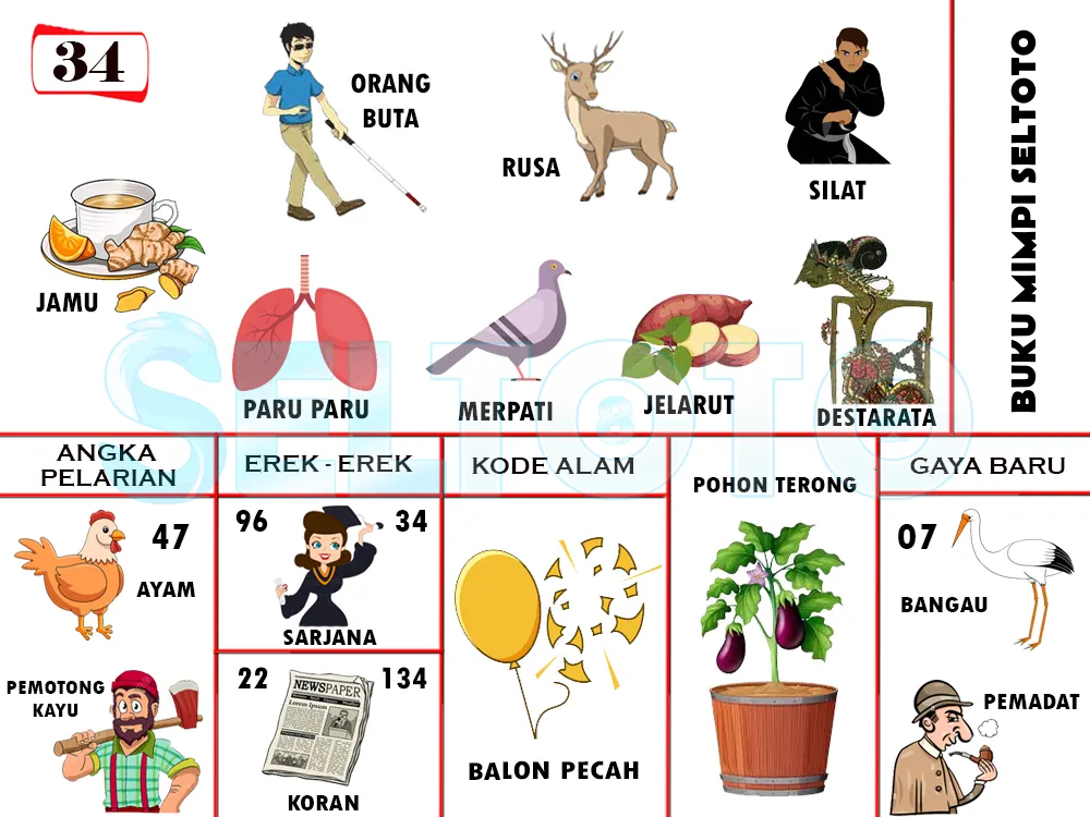 buku mimpi erek erek togel 34