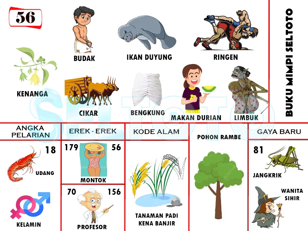 buku mimpi erek erek togel 56