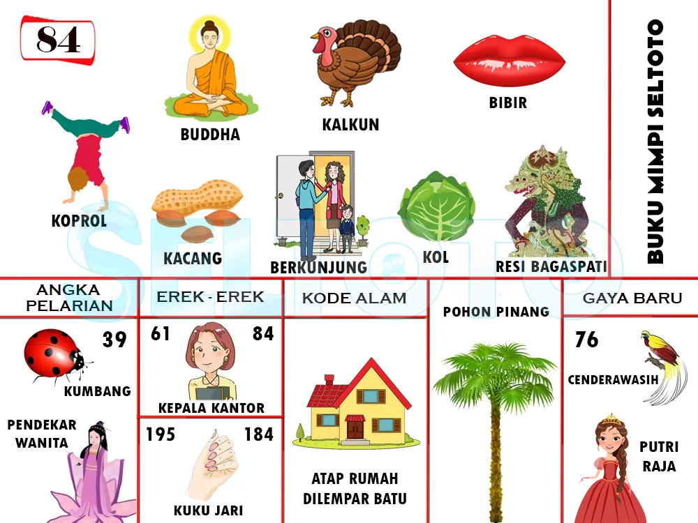 buku mimpi erek erek togel 84
